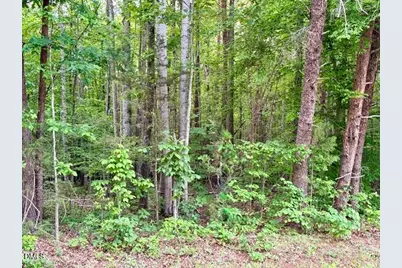 Tbd Carolina 119, Semora, NC 27343 - Photo 9