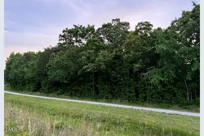 Tbd Carolina 119, Semora, NC 27343 - Photo 3