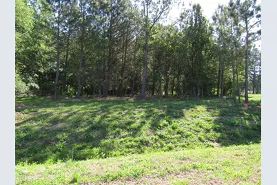 10 Skyline Drive, Louisburg, NC 27549 - Photo 19