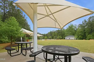 170 Symmetry Loop, Youngsville, NC 27596 - Photo 43
