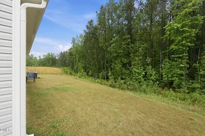 170 Symmetry Loop, Youngsville, NC 27596 - Photo 29