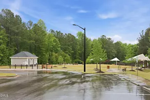 170 Symmetry Loop, Youngsville, NC 27596 - Photo 47