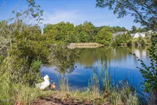 110 Lantern Ridge Ln, Cary, NC 27519 - Photo 59