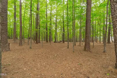 2 Sagamore Place, Hillsborough, NC 27278 - Photo 63