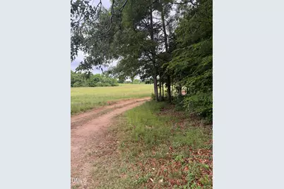 249 Mary Eliza Lane, Goldston, NC 27252 - Photo 13