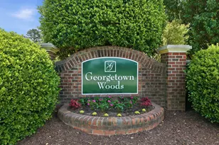 10 Georgetown Woods Dr, Youngsville, NC 27596 - Photo 39