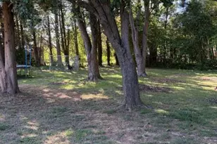 4125 Shepherd Ct, Burlington, NC 27215 - Photo 25