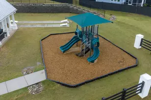 3024 Thurman Dairy Loop, Wake Forest, NC 27587 - Photo 59