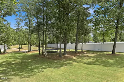 153 Morningside Lane, Angier, NC 27501 - Photo 77