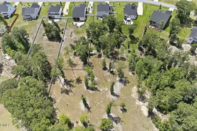 153 Morningside Lane, Angier, NC 27501 - Photo 93