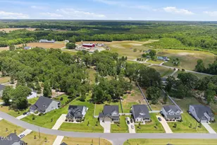 153 Morningside Ln, Angier, NC 27501 - Photo 87