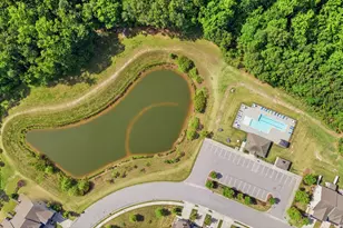 1207 Lotus Lilly Dr, Durham, NC 27713 - Photo 43