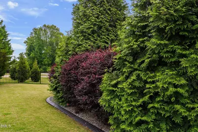 221 Misty Moonlight, Willow Springs, NC 27592 - Photo 55