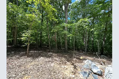 033 Fire Tower Drive, Rougemont, NC 27572 - Photo 3