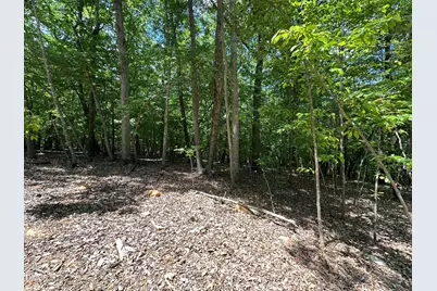 033 Fire Tower Drive, Rougemont, NC 27572 - Photo 5