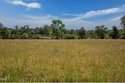 0 Lamont Norwood Road Road, Pittsboro, NC 27312 - Photo 5