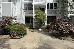 4900 Avenida Del Sol Dr, Raleigh, NC 27616 - Photo 31