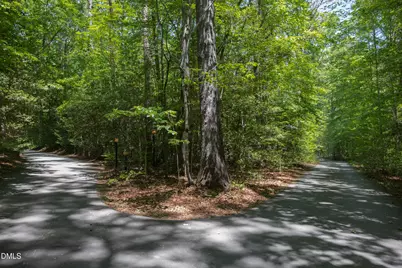 260 Bc Way, Rougemont, NC 27572 - Photo 75