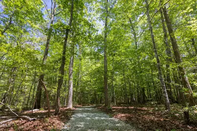 260 Bc Way, Rougemont, NC 27572 - Photo 65