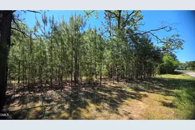 352 Laurel Mill Road, Louisburg, NC 27549 - Photo 1