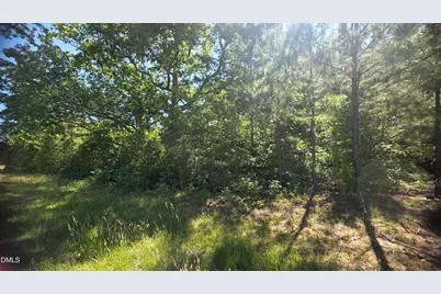 0000 Laurel Mill Road, Louisburg, NC 27549 - Photo 5