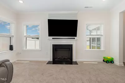 311 Horseshoe Place, Angier, NC 27501 - Photo 15
