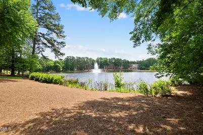 8110 Lloyd Allyns Way, Raleigh, NC 27615 - Photo 59