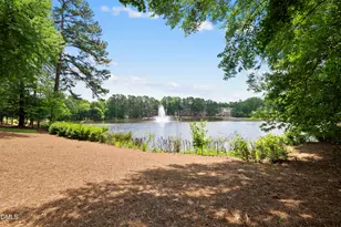 8110 Lloyd Allyns Way, Raleigh, NC 27615 - Photo 59