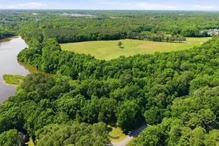 1121 Braswell Creek Point, Holly Springs, NC 27540 - Photo 59