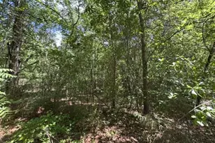 Lot 3 Utley St, Aberdeen, NC 28315 - Photo 1