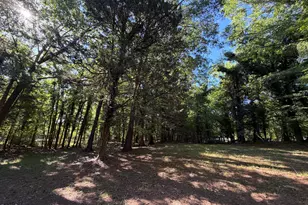 309 W Union St, Hillsborough, NC 27278 - Photo 7