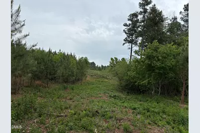 0 Burchette Road, Manson, NC 27553 - Photo 15