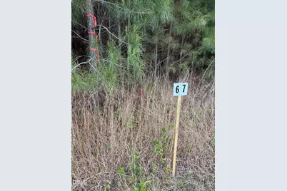 0 Burchette Road, Manson, NC 27553 - Photo 27