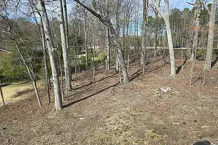 309 Wyatts Pond Ln, Cary, NC 27513 - Photo 33