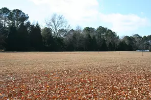 220 Jordan Narron Rd, Selma, NC 27576 - Photo 87