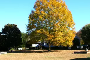 220 Jordan Narron Rd, Selma, NC 27576 - Photo 79