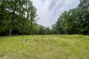 4628 Rogers Rd, Wake Forest, NC 27587 - Photo 3