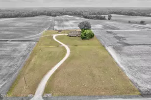 3295 Nobles Mill Pond Rd, Rocky Mount, NC 27801 - Photo 53