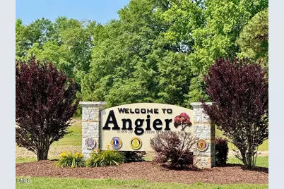 119 S Bream Court, Angier, NC 27501 - Photo 29