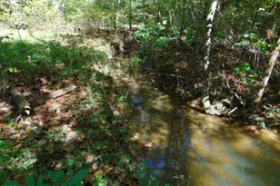 4067 Chewning Rd, Oxford, NC 27565 - Photo 81