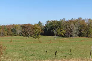 4067 Chewning Rd, Oxford, NC 27565 - Photo 51