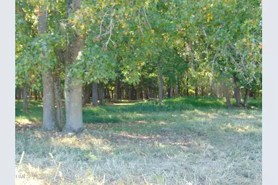 4067 Chewning Road, Oxford, NC 27565 - Photo 55