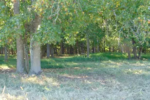 4067 Chewning Rd, Oxford, NC 27565 - Photo 55