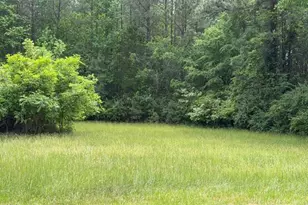 7504 Dodsons Crossroad, Hillsborough, NC 27278 - Photo 53