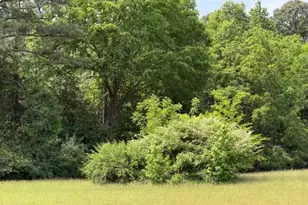 7504 Dodsons Crossroad, Hillsborough, NC 27278 - Photo 55