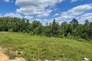 193 Royal Ave, Selma, NC 27576 - Photo 11