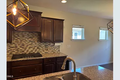 1009 Magnolia Blossom Lane, Apex, NC 27502 - Photo 87