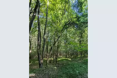 0 Nc 98 Hwy E., Bunn, NC 27508 - Photo 15