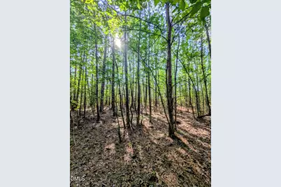 0 Nc 98 Hwy E., Bunn, NC 27508 - Photo 17