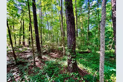 0 Eli Olive, Smithfield, NC 27577 - Photo 11